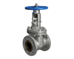 Stainless Steel 317L Gate Valves